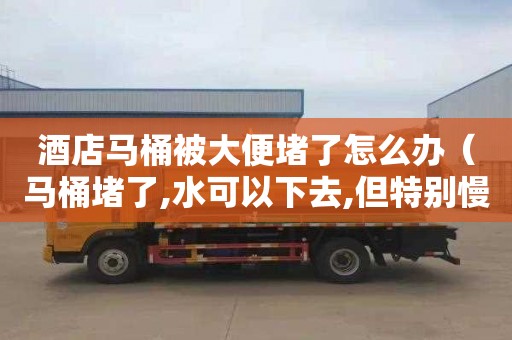 酒店马桶被大便堵了怎么办（马桶堵了,水可以下去,但特别慢）