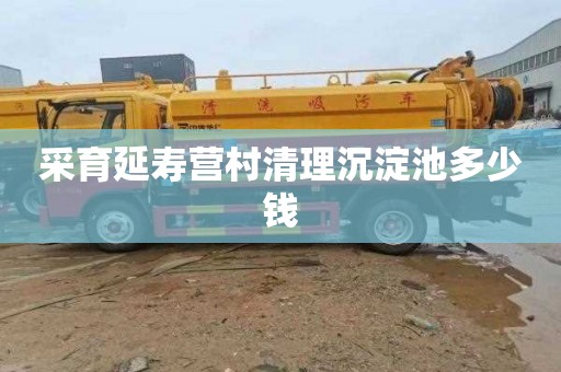 采育延寿营村清理沉淀池多少钱