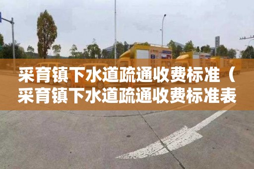 采育镇下水道疏通收费标准（采育镇下水道疏通收费标准表）