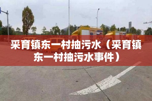 采育镇东一村抽污水（采育镇东一村抽污水事件）