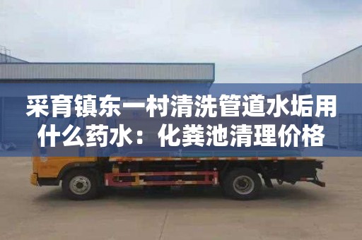采育镇东一村清洗管道水垢用什么药水：化粪池清理价格