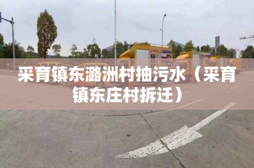 采育镇东潞洲村抽污水（采育镇东庄村拆迁）