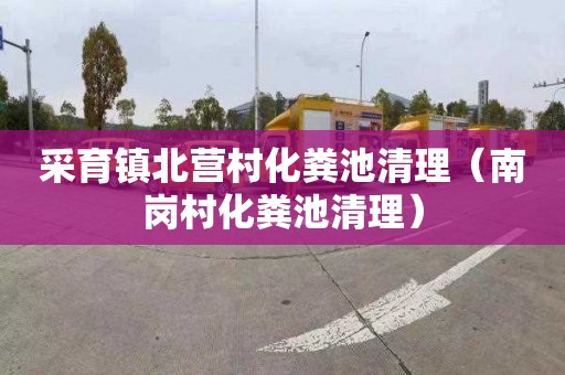 采育镇北营村化粪池清理（南岗村化粪池清理）
