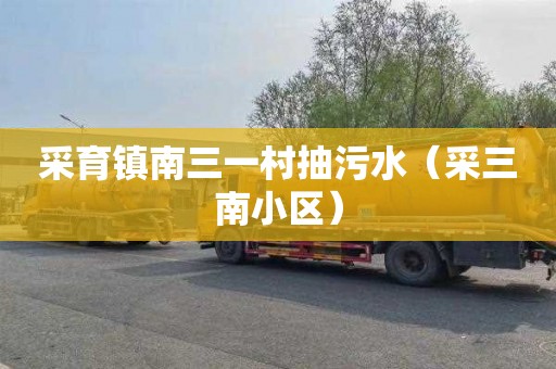 采育镇南三一村抽污水（采三南小区）