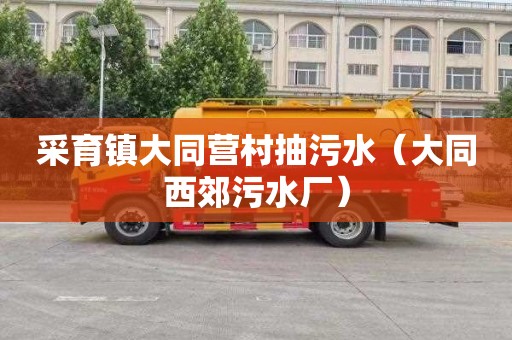 采育镇大同营村抽污水（大同西郊污水厂）