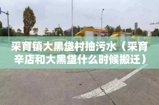 采育镇大黑垡村抽污水（采育辛店和大黑垡什么时候搬迁）