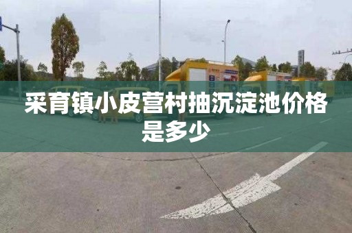 采育镇小皮营村抽沉淀池价格是多少