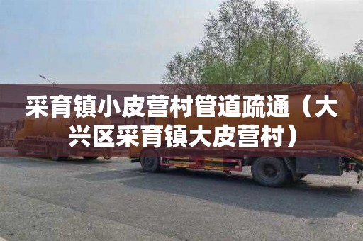 采育镇小皮营村管道疏通（大兴区采育镇大皮营村）