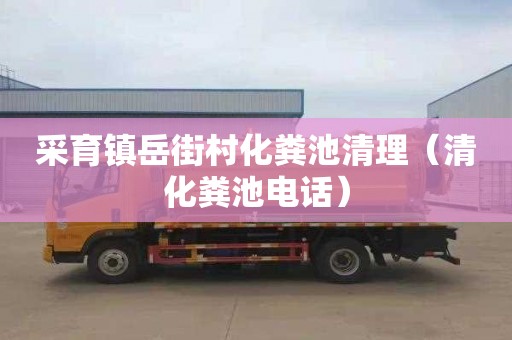 采育镇岳街村化粪池清理（清化粪池电话）