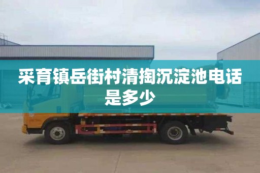 采育镇岳街村清掏沉淀池电话是多少