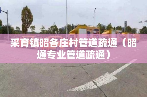 采育镇昭各庄村管道疏通（昭通专业管道疏通）