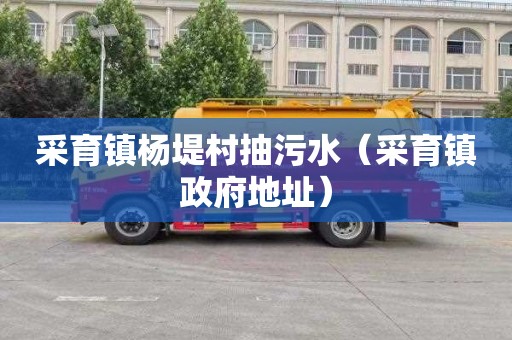 采育镇杨堤村抽污水（采育镇政府地址）
