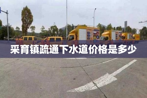 采育镇疏通下水道价格是多少