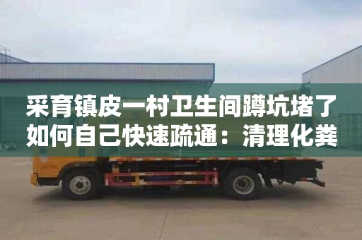 采育镇皮一村卫生间蹲坑堵了如何自己快速疏通：清理化粪池的费用应该由谁承担