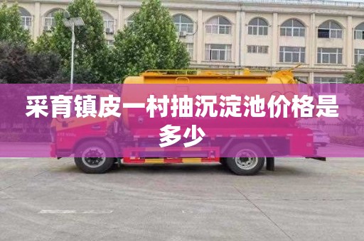采育镇皮一村抽沉淀池价格是多少