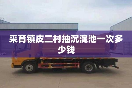 采育镇皮二村抽沉淀池一次多少钱
