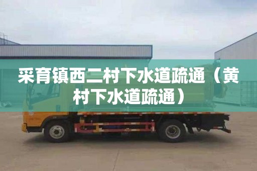 采育镇西二村下水道疏通（黄村下水道疏通）