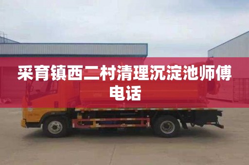 采育镇西二村清理沉淀池师傅电话