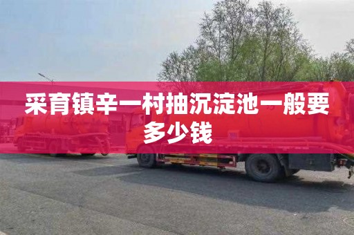 采育镇辛一村抽沉淀池一般要多少钱