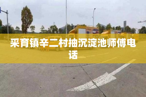 采育镇辛二村抽沉淀池师傅电话