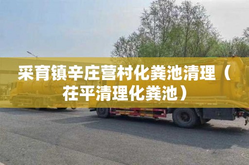 采育镇辛庄营村化粪池清理（茌平清理化粪池）