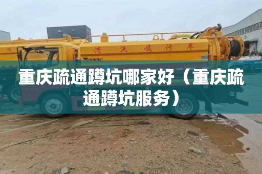 重庆疏通蹲坑哪家好（重庆疏通蹲坑服务）