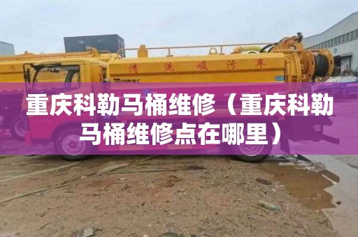重庆科勒马桶维修（重庆科勒马桶维修点在哪里）