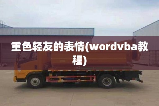 重色轻友的表情(wordvba教程)