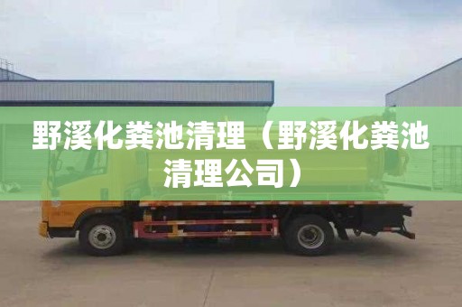野溪化粪池清理（野溪化粪池清理公司）