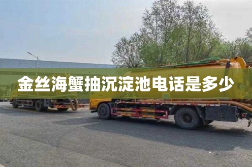 金丝海蟹抽沉淀池电话是多少