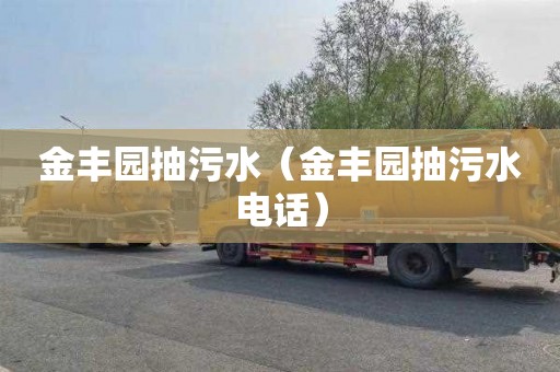 金丰园抽污水（金丰园抽污水电话）