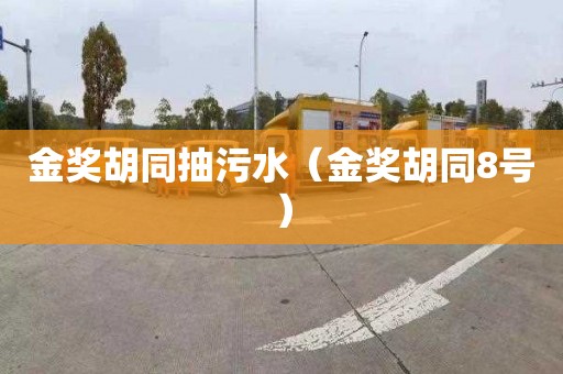 金奖胡同抽污水（金奖胡同8号）