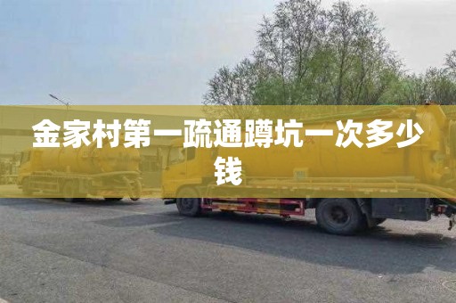 金家村第一疏通蹲坑一次多少钱