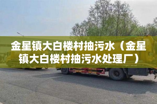 金星镇大白楼村抽污水（金星镇大白楼村抽污水处理厂）