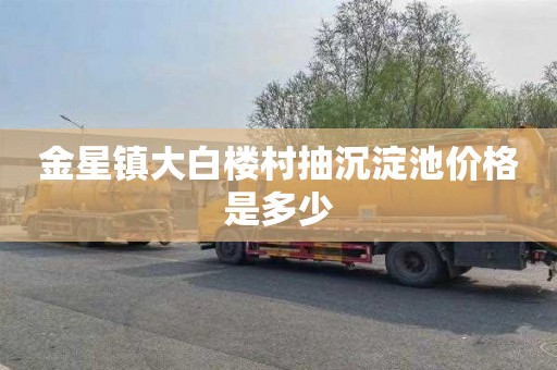 金星镇大白楼村抽沉淀池价格是多少