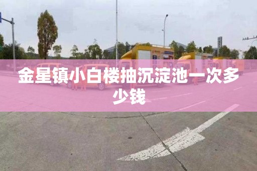 金星镇小白楼抽沉淀池一次多少钱