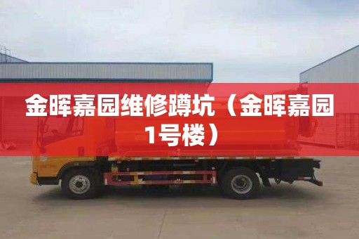 金晖嘉园维修蹲坑（金晖嘉园1号楼）