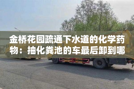 金桥花园疏通下水道的化学药物：抽化粪池的车最后卸到哪了