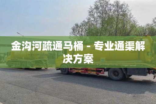 金沟河疏通马桶 - 专业通渠解决方案