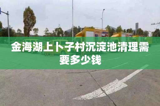 金海湖上卜子村沉淀池清理需要多少钱