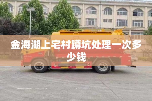 金海湖上宅村蹲坑处理一次多少钱