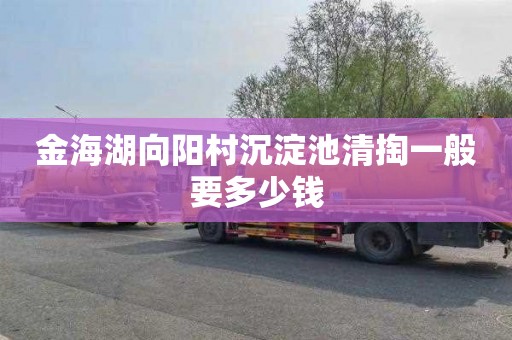 金海湖向阳村沉淀池清掏一般要多少钱
