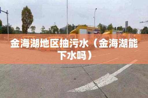 金海湖地区抽污水（金海湖能下水吗）