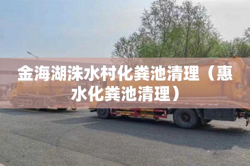 金海湖洙水村化粪池清理（惠水化粪池清理）