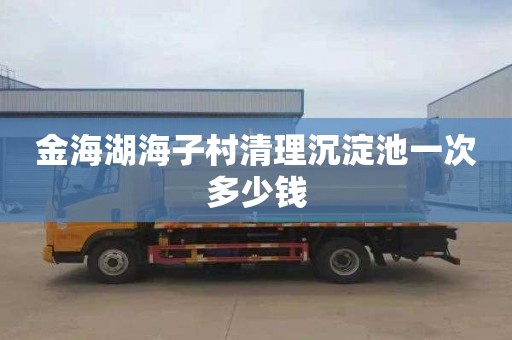 金海湖海子村清理沉淀池一次多少钱