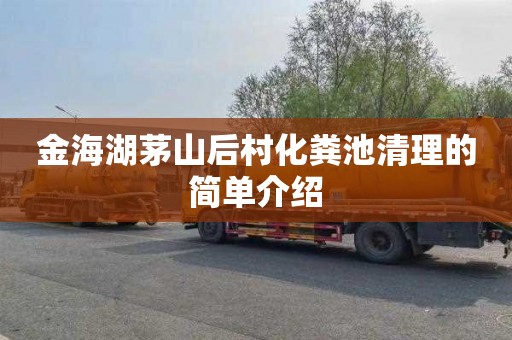 金海湖茅山后村化粪池清理的简单介绍