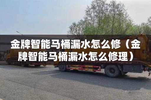 金牌智能马桶漏水怎么修（金牌智能马桶漏水怎么修理）