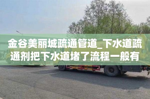 金谷美丽城疏通管道_下水道疏通剂把下水道堵了流程一般有哪些