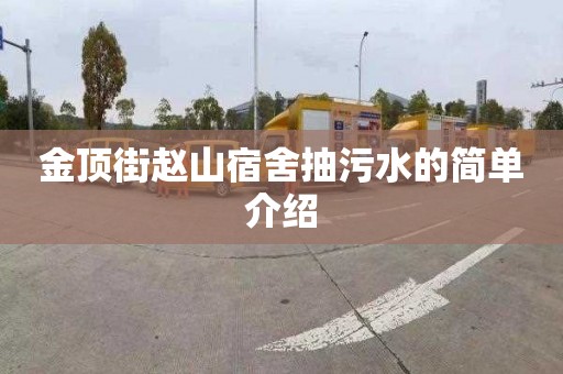 金顶街赵山宿舍抽污水的简单介绍