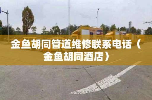 金鱼胡同管道维修联系电话（金鱼胡同酒店）